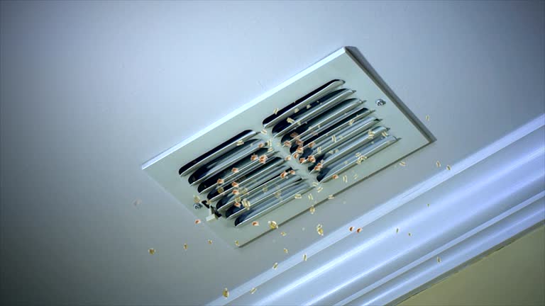 Best Home Air Vent Cleaning  in Citrus Springs, FL